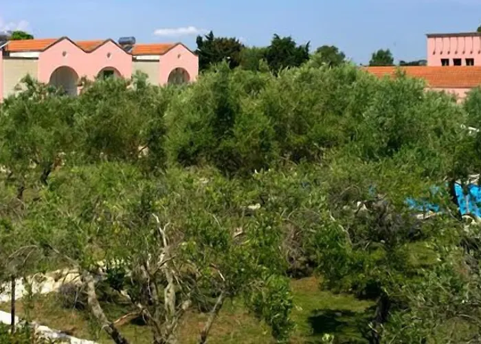Borgo Primizia منتجع أليميني