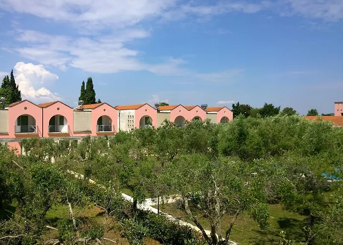 Borgo Primizia 알리미니